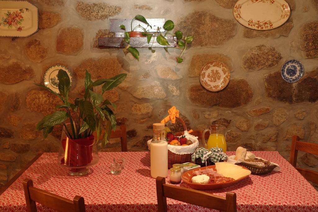 Casas Da Fonte - Serra Da Estrela Seia Bagian luar foto