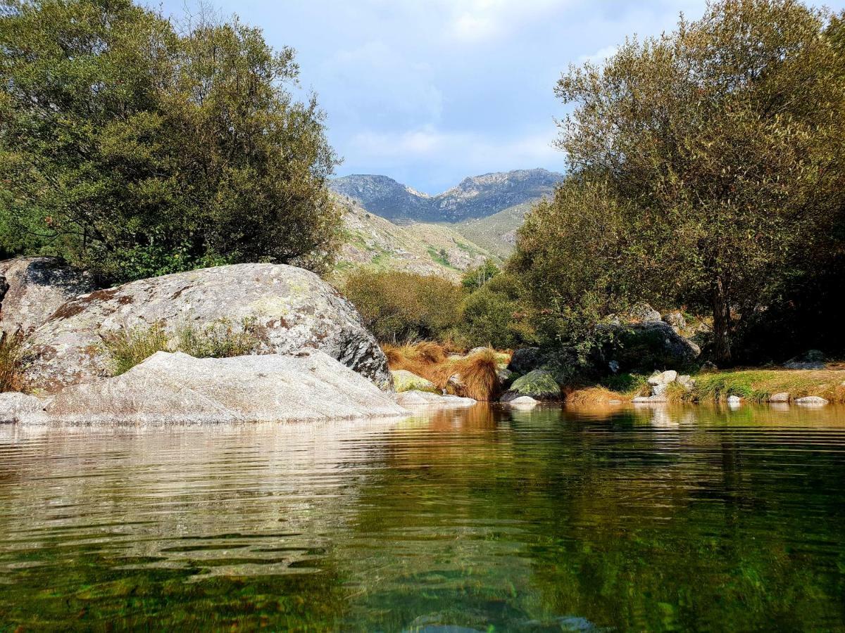 Casas Da Fonte - Serra Da Estrela Seia Bagian luar foto